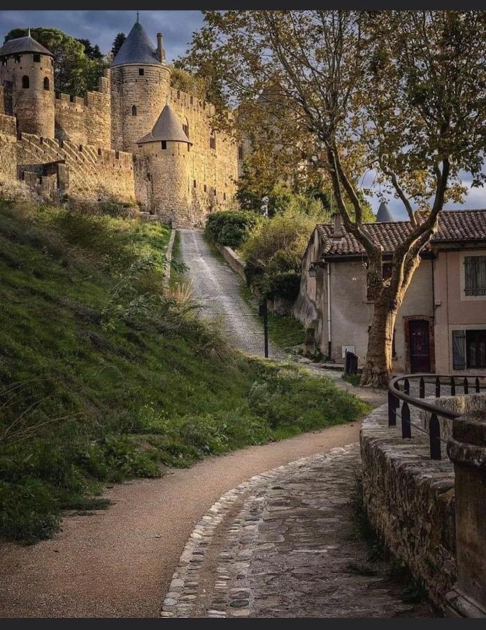 Maison Petite Cote Carcassonne Zewnętrze zdjęcie