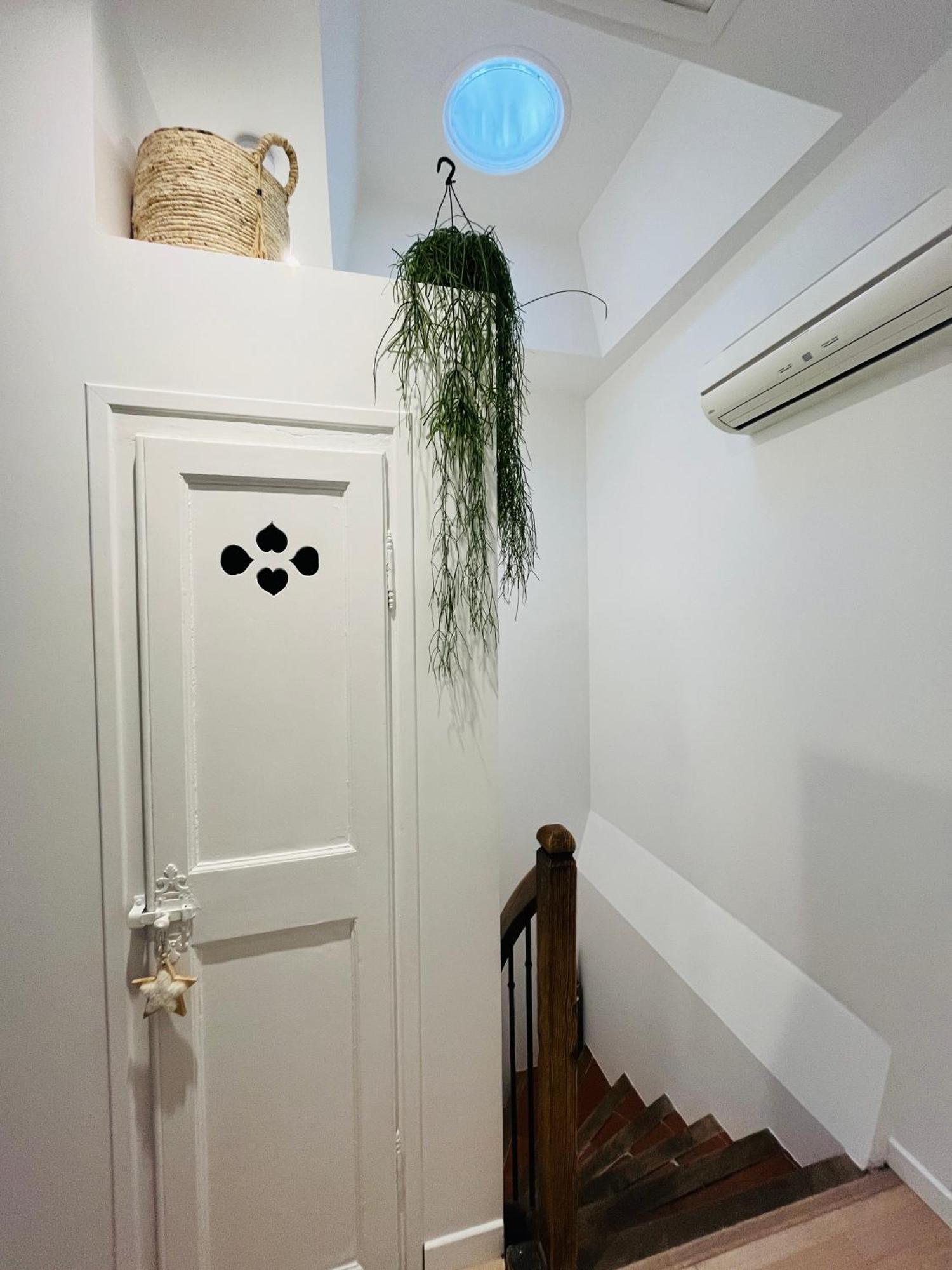 Maison Petite Cote Carcassonne Zewnętrze zdjęcie